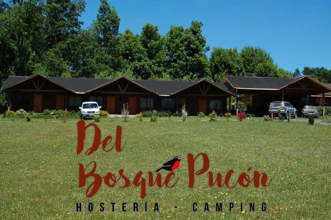 Hosteria y Camping del Bosque Pucón Exterior foto